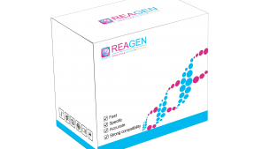 馬、驢源性恒溫核酸檢測(cè)試劑盒